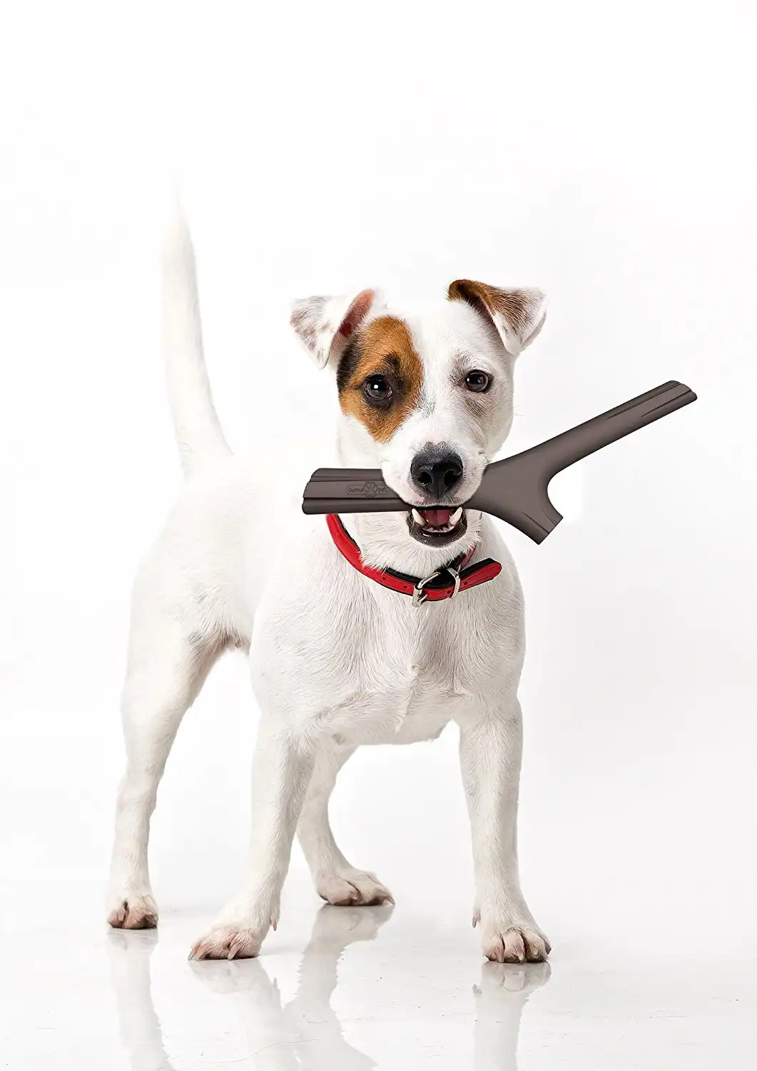 Bama Bastone in Gomma per Gioco Cane Cani Rimbalza Salta Galleggia