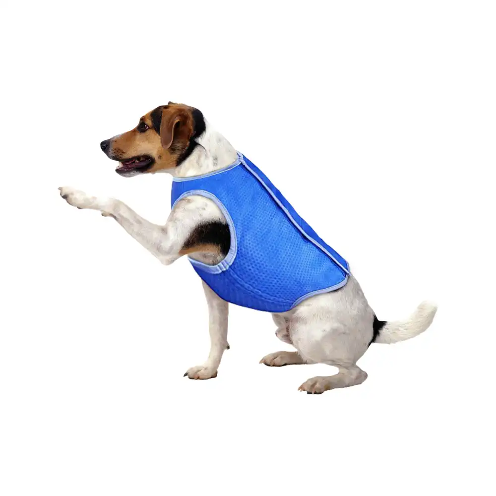 Abito Vestito Pettorina Rinfrescante Refrigerante Per Cane Taglia S Fino a 50 Cm