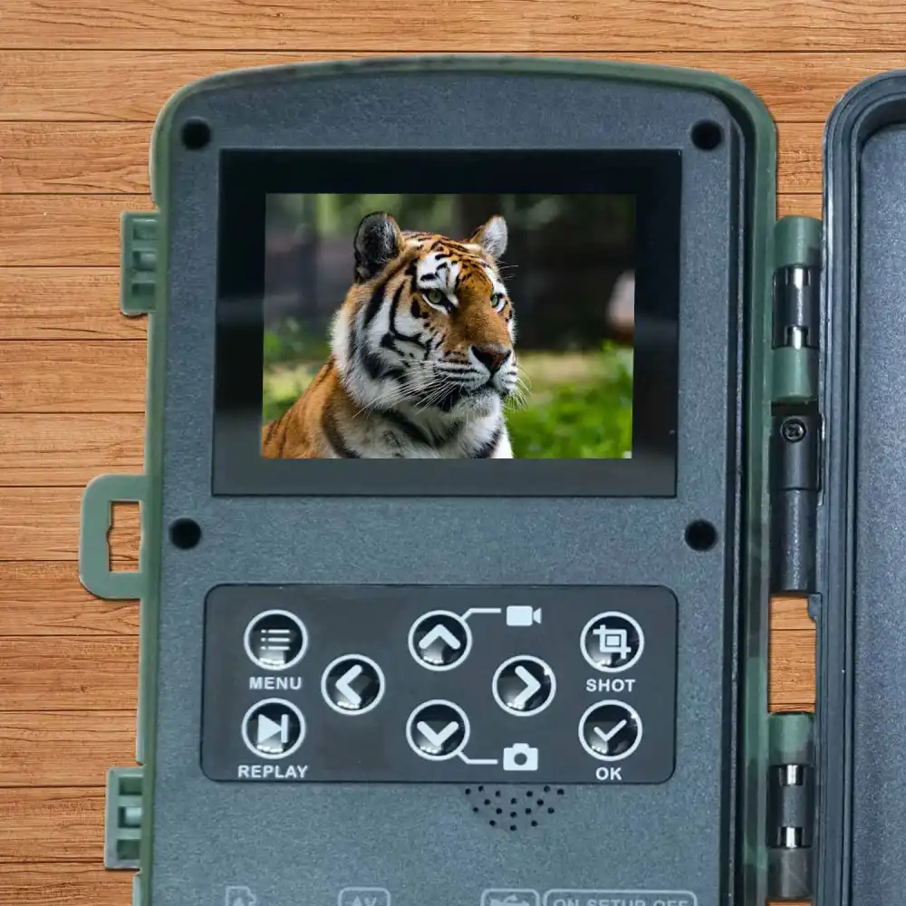 Telecamera Fotocamera Digitale da per Caccia Schermo LCD Sensore di Movimento