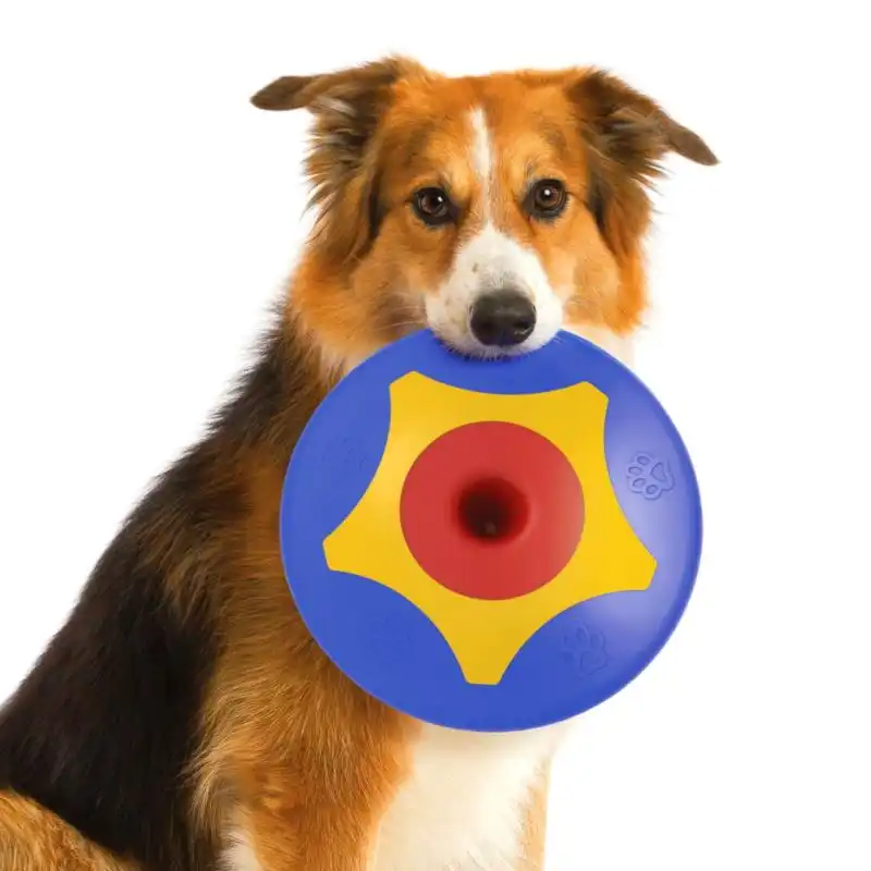Frisbee Disco Flessibile In Gomma Per Cane Cani Animale TROTTO DISK Gioco