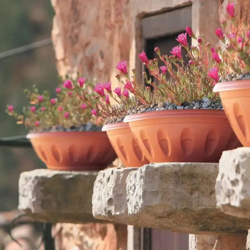 Vaso Fioriera Ciotola Alba con Sottovaso Color Terracotta 80x45x34cm