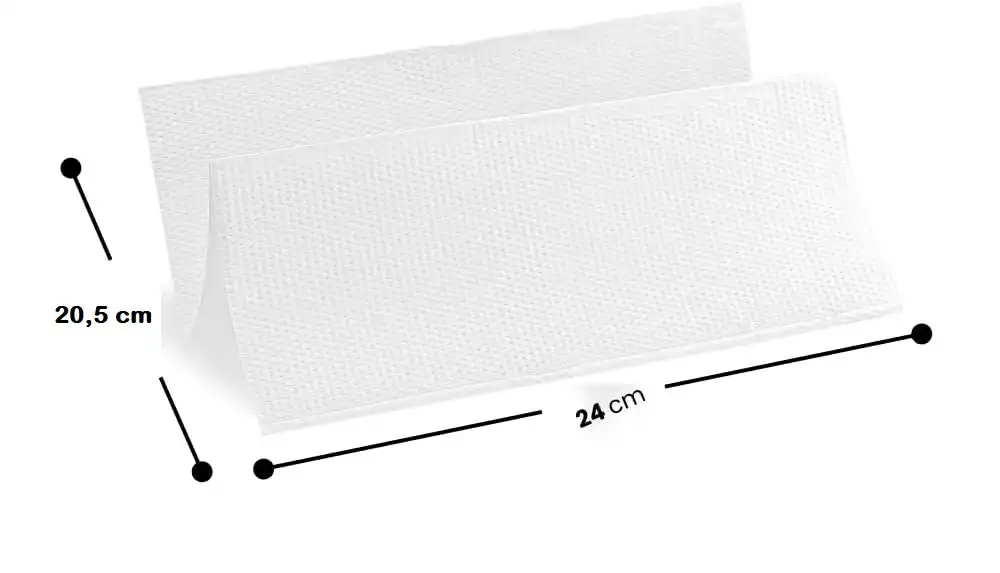 Asciugamani Monouso Piegati a Z per Dispenser 24 x 21 cm 25 Pacchetti da 150pz