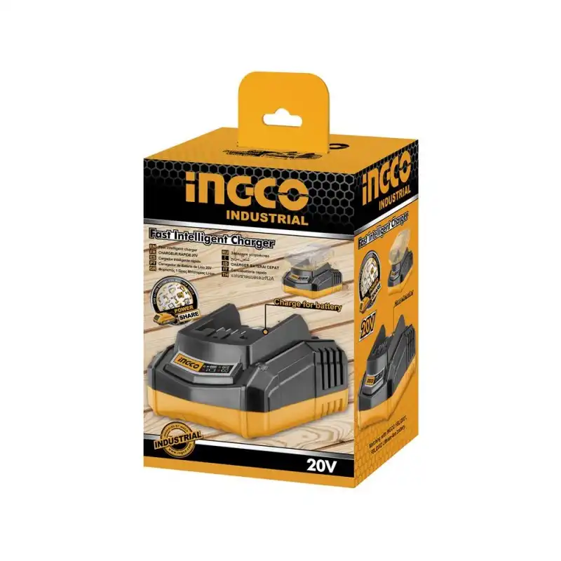 Caricabatterie Rapido 20V 110V-240V Caricatore Per Batteria al Litio
