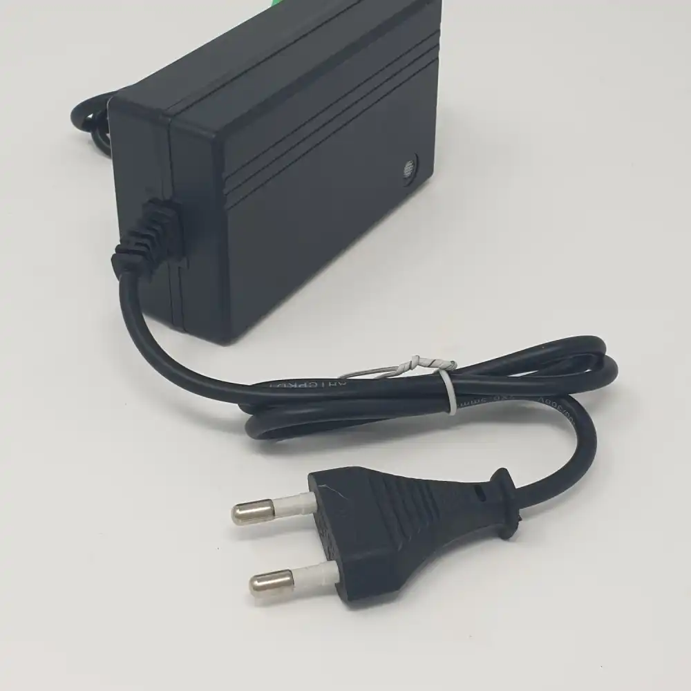 Caricatore Litio 12V 10A Per Batterie a Litio Pompe Irroratrici