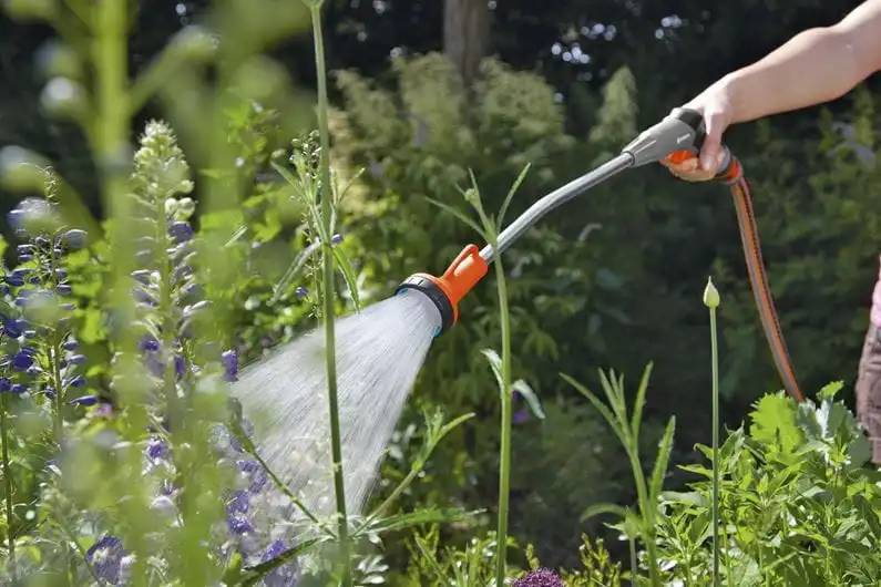 Lancia Con Prolunga Classic Lunghezza 60cm Per Inaffiare Giardino Ampio Raggio